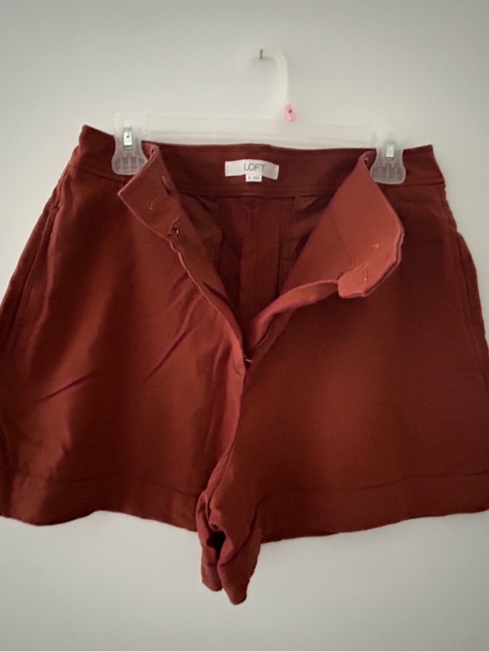 LOFT Burnt Orange Tailored Shorts